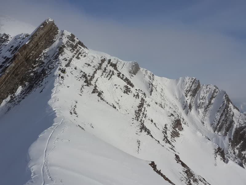 WinterGudauri
