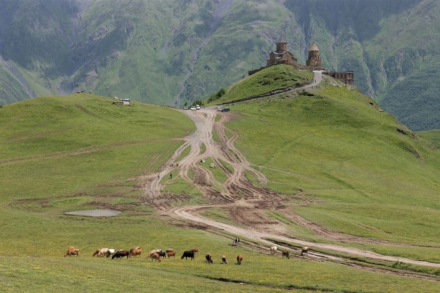Gergeti Trinity Church on its ridge above green summer pasture near Stepantsminda